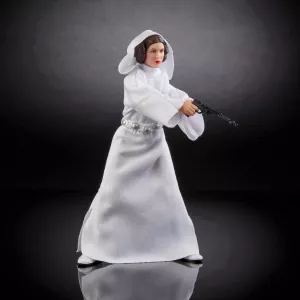 C1693_DAD_LIFE_S17_SW_E4_BL_Princess_Leia_0377_2000px_300DPI.webp
