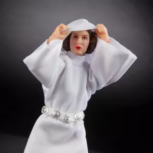 C1693_DAD_LIFE_S17_SW_E4_BL_Princess_Leia_0379_2000px_300DPI.webp