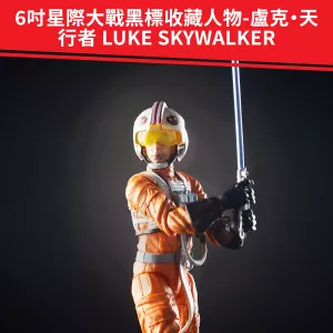 E4038_DAD_FC_TW_F19_SW_E4_BL_GR_LukeSkywalkerPilot_3_2000px_300DPI.webp