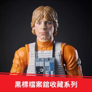 E4038_DAD_FC_TW_F19_SW_E4_BL_GR_LukeSkywalkerPilot_4_2000px_300DPI.webp