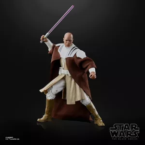 F5300_PROD_SW_MACEWINDU_0001_2000px_300DPI.webp