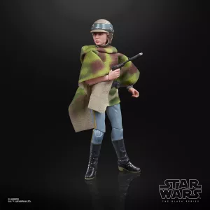 E9363_Prod_SW_Princess Leia Organa_ 68056_2000px_300DPI.webp