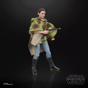 E9363_Prod_SW_Princess Leia Organa_ 68060_2000px_300DPI.webp