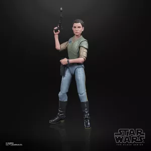 E9363_Prod_SW_Princess Leia Organa_ 68063_2000px_300DPI.webp