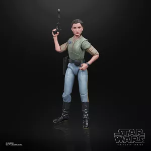 E9363_Prod_SW_Princess Leia Organa_ 68064_2000px_300DPI.webp