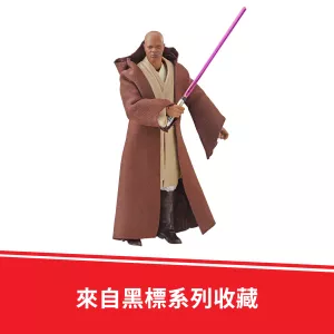 E4088_DAD_FC_TW_S19_SW_E3_BL_MaceWindu_5.webp