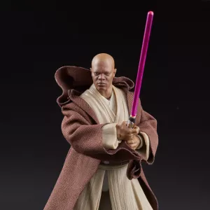 E4088_DAD_Life_S19_SW_BL6inMaceWindu_072.webp